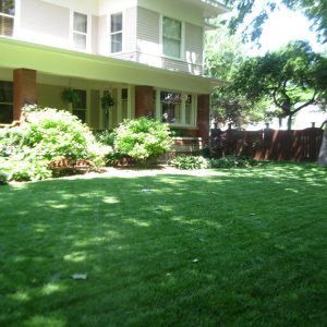Lawn-and-Weed-Maintenance-7