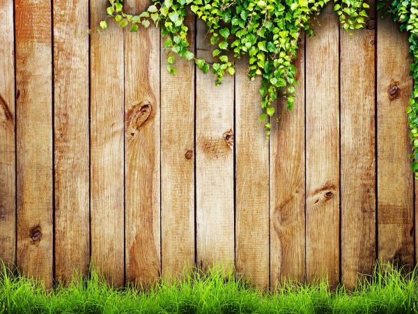 Fence with leaves